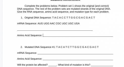 Quick I need help this mutation reinforcement assignment about DNA, RNA, and amino acid.