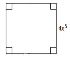 Write a simplified expression to represent the area of the square shown.
Area: s²
