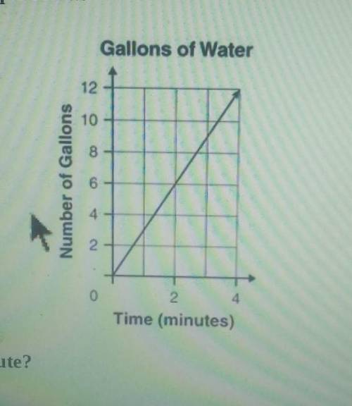 How many gallons of water did niles pour into the tank each minute? Please help me asap​