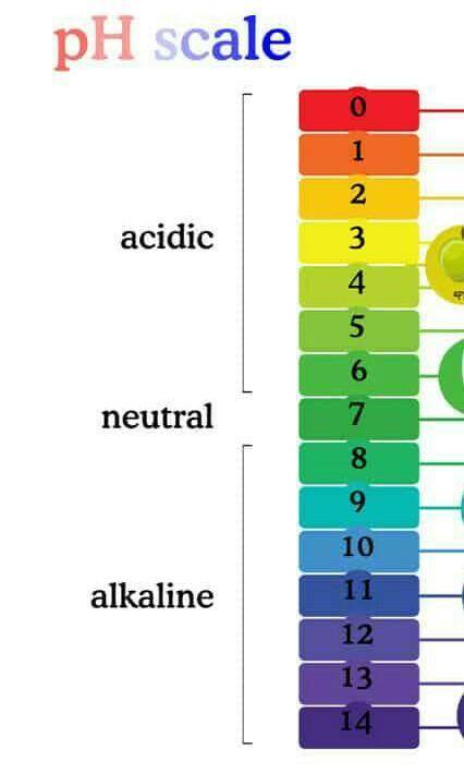 What's pH scale? and how do we measure pH value of a soap? and what's the best pH of a soap?​