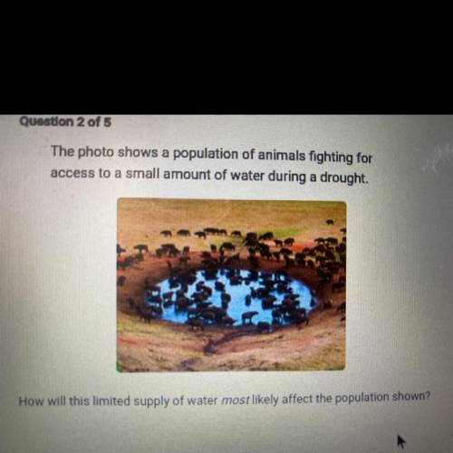 The photo shows a population of animals fighting for

access to a small amount of water during a d