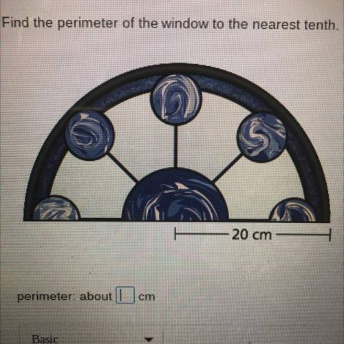 Find the perimeter of the window to the nearest tenth. 20cm