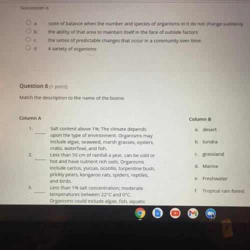 PLEASE HELP ME WITH THE FIRST QUESTION AND DONT PUT ANY LINKS!!!