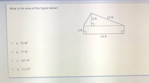 Can someone pls help me with this Plsssssss