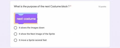 WHAT IS THE PURPOSE OF THE NEXT COSTUME BLOCK?