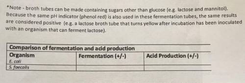 Are they positive or negative for acid production and fermentation?