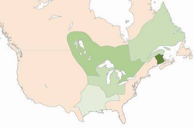 The map shows early North America.

Map of early North America in different shades of green. A dar