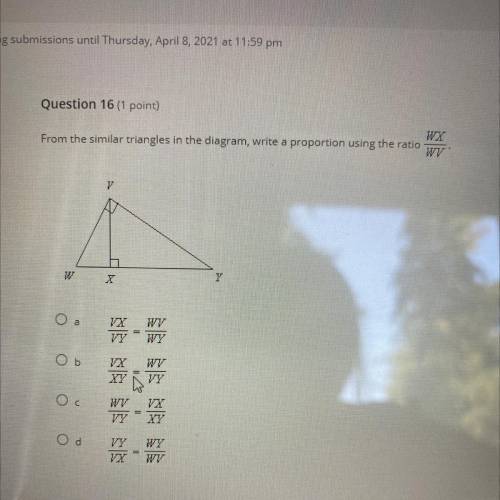 Please help!! this test will bring my grade up