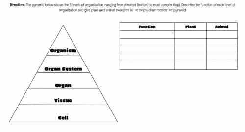Help Pls!

Directions: The pyramid shows the 5 levels of organization, ranging from simplest (bott