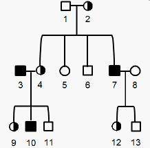 The pedigree below shows the inheritance of hemophilia, a recessive X-linked disorder, in a family.