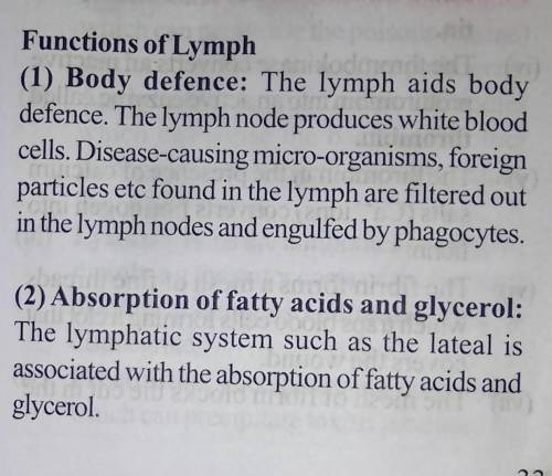 What is the main function of the immune (lymphatic) system?

A. Keeping a body healthy from disease