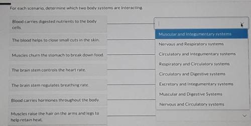 For each scenario, determine which two body systems are interacting.​