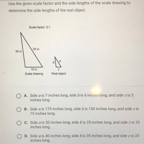 Use the given scale factor and the side lengths of the scale drawing to

determine the side length