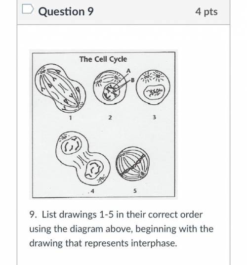 List drawings 1-5 in their correct order using the diagram above, beginning with the drawing that r