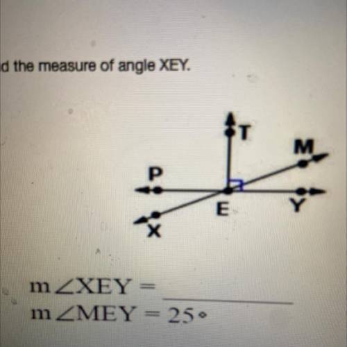 Find the measure of angle XEY.