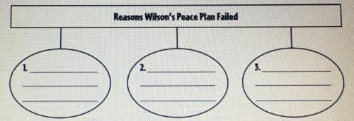 Reasons Wilson’s Peace Plan Failed
