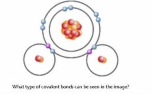 What type of covalent bonds can we see in the image