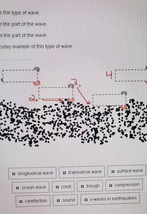 1. Name the type of wave. 2. Label the part of the wave. 3. Label the part of the wave 4. Everyday