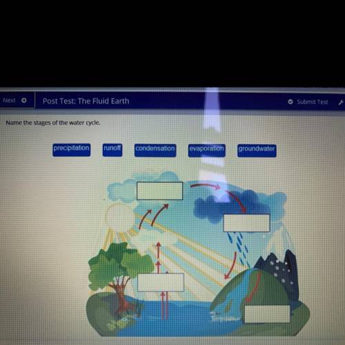 Name the stages of the water cycle.

runoff
condensation
evaporation
groundwater
precipitation