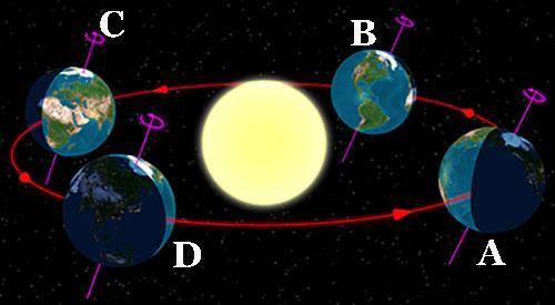 At which position is the northern hemisphere experiencing winter?

Point A
Point B
Point C
Point D