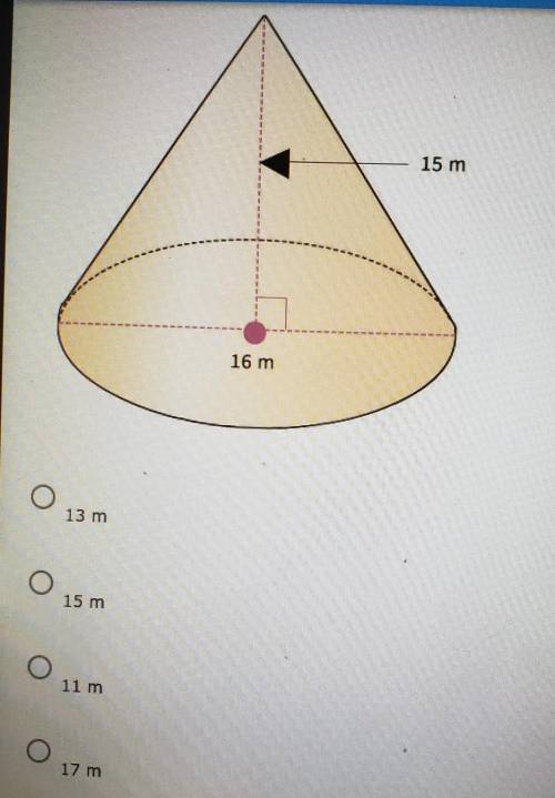 Find the slant height of the cone.​