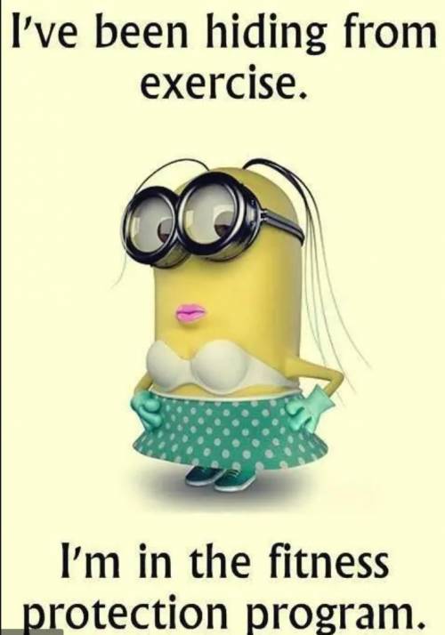 ok. this is for hilolyeetxx64 because he/she said to post memes...Cheers! they are mostly minion me