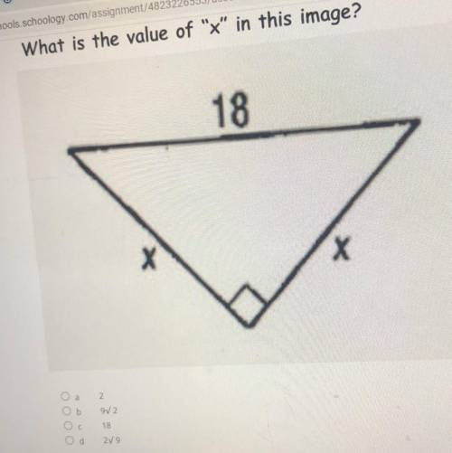 What is the value of x in this image?