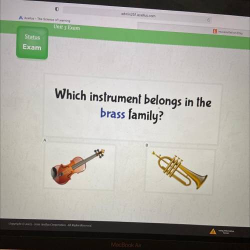Which instrument belongs in the
brass family?