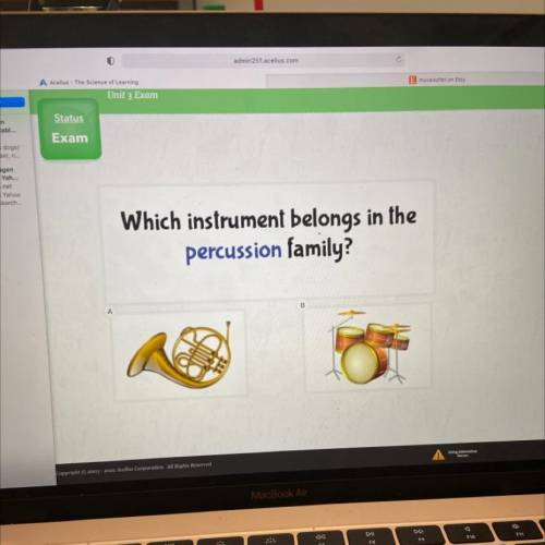 Which instrument belongs in the
percussion family?