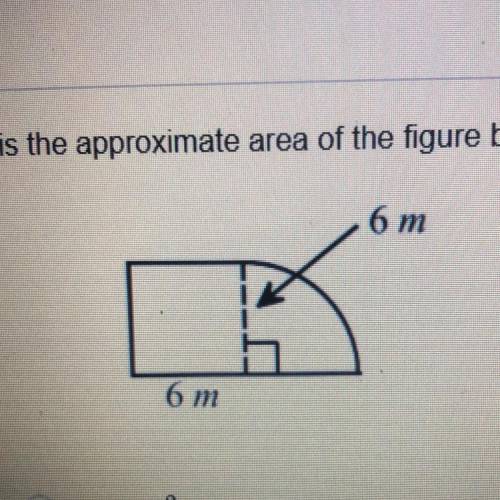 Help me find the approximate 
area of the figure!!!