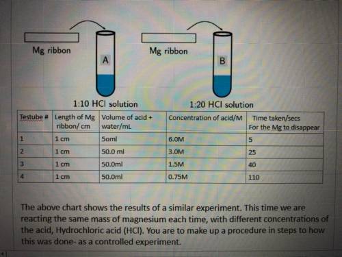 what is the effect of concentration and the time for the reaction between the acid and magnesium ri