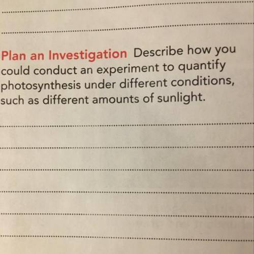 Plan Investigation Describe how could conduct an experiment to quantify photosynthesis under differ