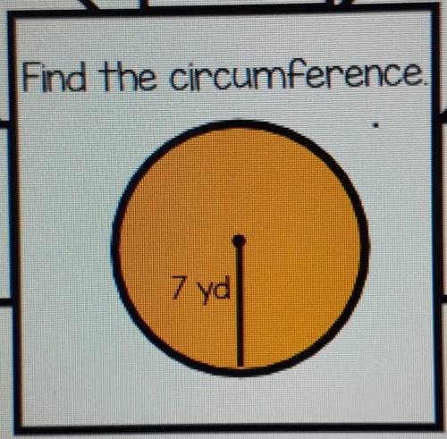 Find the circumference​
