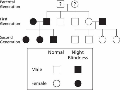 Individuals with the recessive trait of night blindness (genotype nn) have difficulty seeing in low