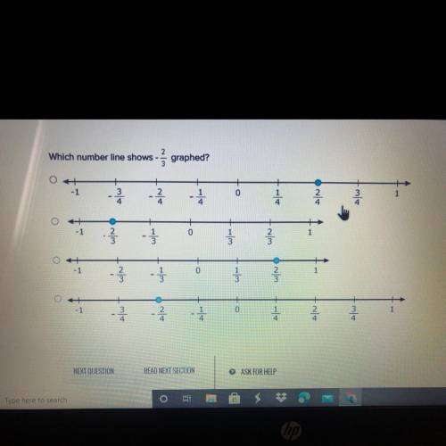 Which number line shows - graphed?