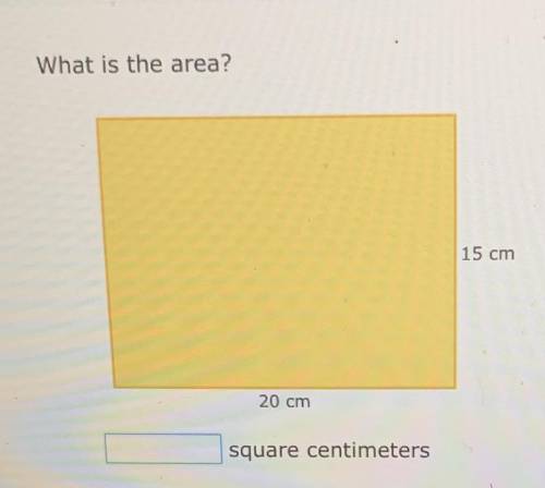 Image is above
What is the area?
15 cm
20 cm
square centimeters