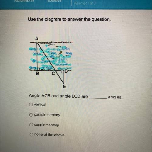 Angle ACB and angle ECD are

angles.
vertical
complementary
supplementary
none of the above