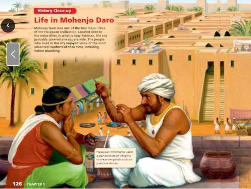 What in the picture suggests that Mohenjo Daro was a well-planned city?​