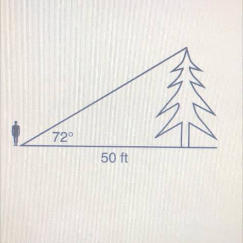 A surveyor is standing 50 feet from the base of a large

tree. The surveyor measures the angle of
