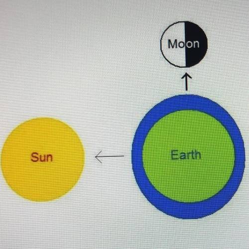 If the Sun, Earth, and Moon are lined up as shown, the Earth would have______.

A. Spring tides wh