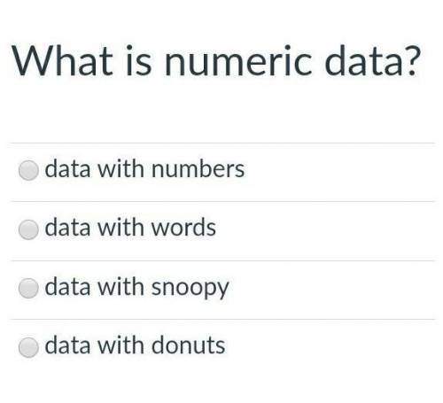 What does numeric data mean?the following answer choices are in the image ​