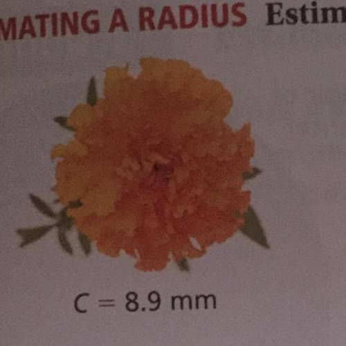 Estimate the radius of the object