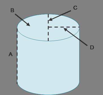 A cylinder. A is the height, B is the base, C is the diameter, D is the radius.

Identify A, B, C,