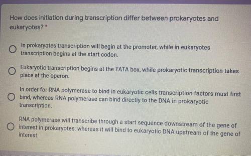 How does initiation during transcription differ between prokaryotes and
eukaryotes? *