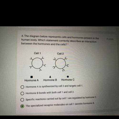 What is the answer? can someone help me