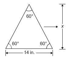 Select the correct answer.

What is the height, x, of the equilateral triangle?
an equilateral tri
