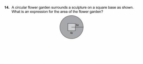 Help with this math problem, please!!