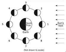 The diagram below shows the moon at positions 1 through 8 in its orbit around the Earth.

Which nu