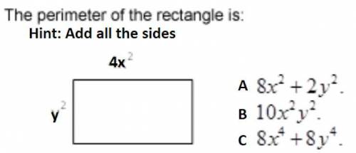 Find the perimeter of the following rectangle. Hint: add all sides.