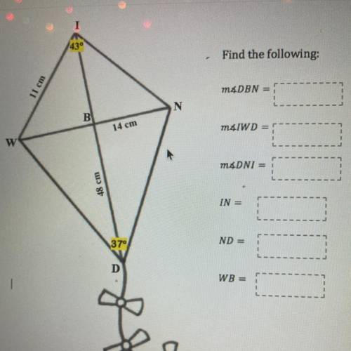 I really need help on this kite question